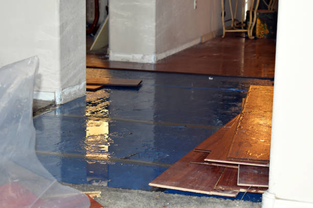 Professional Basement Flood Cleanup technician working in Four Oaks, NC